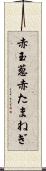 赤玉葱 Scroll