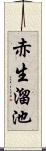 赤生溜池 Scroll