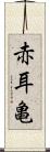 赤耳亀 Scroll