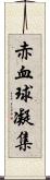 赤血球凝集 Scroll