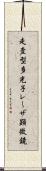 走査型多光子レーザ顕微鏡 Scroll