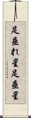 足垂れ星 Scroll