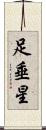 足垂星 Scroll