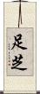 足芝 Scroll