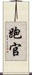 跑官 Scroll
