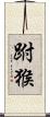 跗猴 Scroll