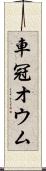 車冠オウム Scroll