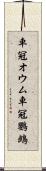 車冠オウム Scroll