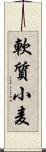 軟質小麦 Scroll