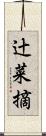 辻菜摘 Scroll