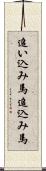 追い込み馬 Scroll