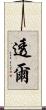 透爾 Scroll