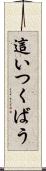這いつくばう Scroll