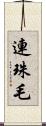 連珠毛 Scroll