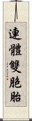 連體雙胞胎 Scroll