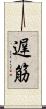 遅筋 Scroll