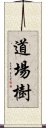 道場樹 Scroll