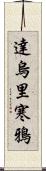 達烏里寒鴉 Scroll