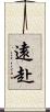 遠赴 Scroll