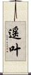 遥叶 Scroll