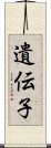 遺伝子 Scroll