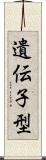 遺伝子型 Scroll