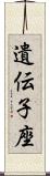 遺伝子座 Scroll