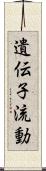 遺伝子流動 Scroll