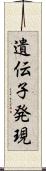 遺伝子発現 Scroll