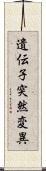 遺伝子突然変異 Scroll