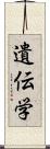 遺伝学 Scroll