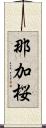 那加桜 Scroll