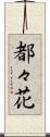 都々花 Scroll