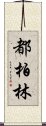 都柏林 Scroll