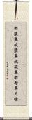 酢漿草 Scroll