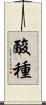 酸種 Scroll