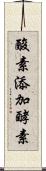 酸素添加酵素 Scroll