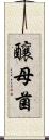 釀母菌 Scroll