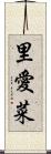 里愛菜 Scroll