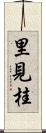 里見桂 Scroll