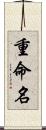 重命名 Scroll