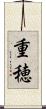 重穂 Scroll