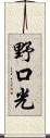 野口光 Scroll