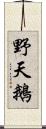 野天鵝 Scroll