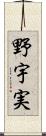野宇実 Scroll
