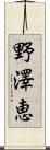 野澤恵 Scroll
