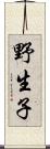 野生子 Scroll