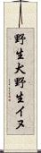 野生犬 Scroll