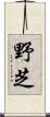 野芝 Scroll