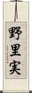 野里実 Scroll